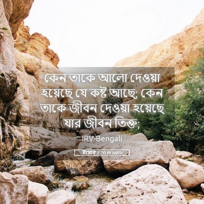 Picture 05 - ইয়োব 3:20 BENIRV - কেন তাকে আলো - Bible Verse Picture