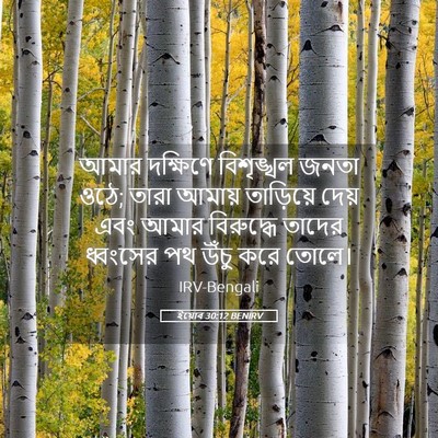 Picture 05 - ইয়োব 30:12 BENIRV - আমার দক্ষিণে - Bible Verse Picture