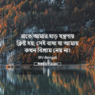 Picture 05 - ইয়োব 30:17 BENIRV - রাতে আমার হাড় - Bible Verse Picture