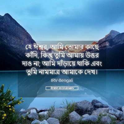 Picture 05 - ইয়োব 30:20 BENIRV - হে ঈশ্বর, আমি তোমার - Bible Verse Picture