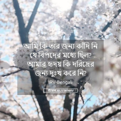 Picture 05 - ইয়োব 30:25 BENIRV - আমি কি তার জন্য - Bible Verse Picture