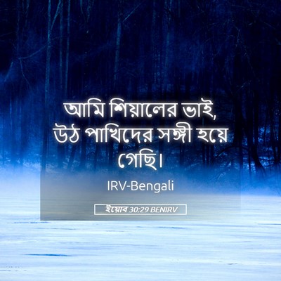 Picture 05 - ইয়োব 30:29 BENIRV - আমি শিয়ালের ভাই, - Bible Verse Picture