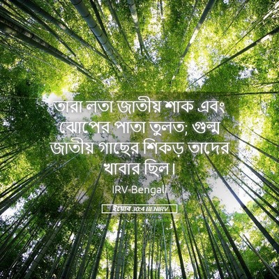 Picture 05 - ইয়োব 30:4 BENIRV - তারা লতা জাতীয় - Bible Verse Picture