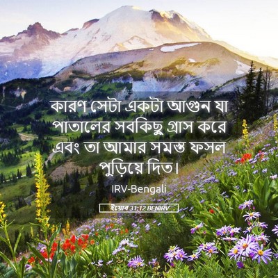 Picture 05 - ইয়োব 31:12 BENIRV - কারণ সেটা একটা - Bible Verse Picture