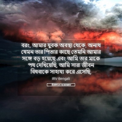 Picture 05 - ইয়োব 31:18 BENIRV - বরং, আমার যুবক - Bible Verse Picture