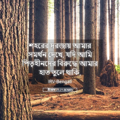 Picture 05 - ইয়োব 31:21 BENIRV - শহরের দরজায় আমার - Bible Verse Picture