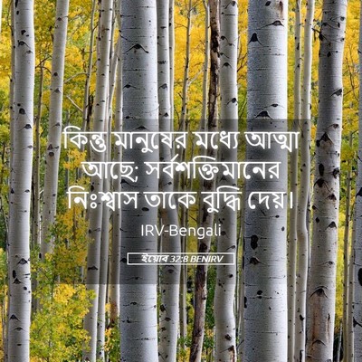 Picture 05 - ইয়োব 32:8 BENIRV - কিন্তু মানুষের - Bible Verse Picture