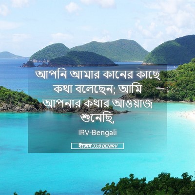 Picture 05 - ইয়োব 33:8 BENIRV - আপনি আমার কানের - Bible Verse Picture