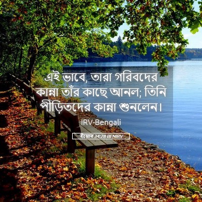Picture 05 - ইয়োব 34:28 BENIRV - এই ভাবে, তারা - Bible Verse Picture
