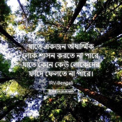 Picture 05 - ইয়োব 34:30 BENIRV - যাতে একজন - Bible Verse Picture
