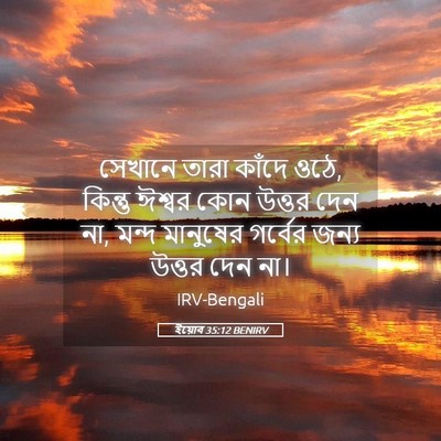 Picture 05 - ইয়োব 35:12 BENIRV - সেখানে তারা কাঁদে - Bible Verse Picture