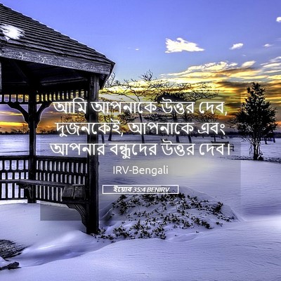 Picture 05 - ইয়োব 35:4 BENIRV - আমি আপনাকে উত্তর - Bible Verse Picture