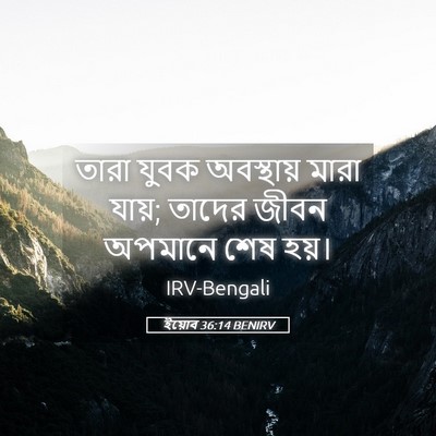 Picture 05 - ইয়োব 36:14 BENIRV - তারা যুবক - Bible Verse Picture