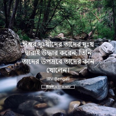 Picture 05 - ইয়োব 36:15 BENIRV - ঈশ্বর দুঃখীদের - Bible Verse Picture