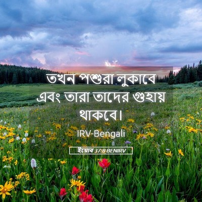 Picture 05 - ইয়োব 37:8 BENIRV - তখন পশুরা লুকাবে - Bible Verse Picture