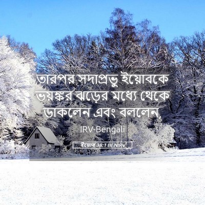 Picture 05 - ইয়োব 38:1 BENIRV - তারপর সদাপ্রভু - Bible Verse Picture