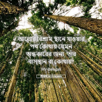 Picture 05 - ইয়োব 38:19 BENIRV - আলোর বিশ্রাম - Bible Verse Picture