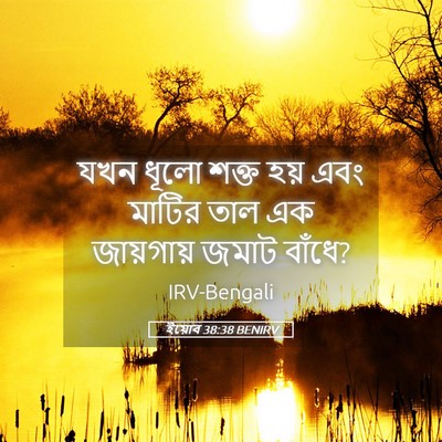 Picture 05 - ইয়োব 38:38 BENIRV - যখন ধূলো শক্ত হয় - Bible Verse Picture