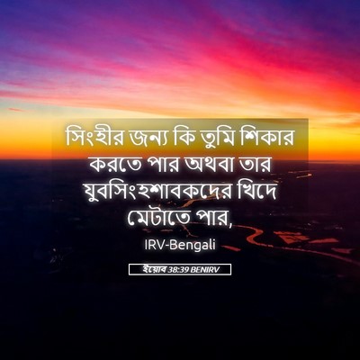 Picture 05 - ইয়োব 38:39 BENIRV - সিংহীর জন্য কি - Bible Verse Picture