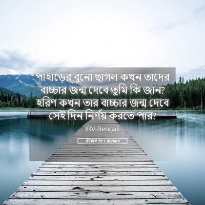 Picture 05 - ইয়োব 39:1 BENIRV - পাহাড়ের বুনো - Bible Verse Picture