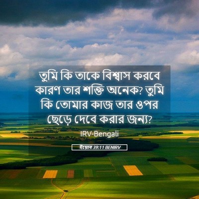 Picture 05 - ইয়োব 39:11 BENIRV - তুমি কি তাকে - Bible Verse Picture