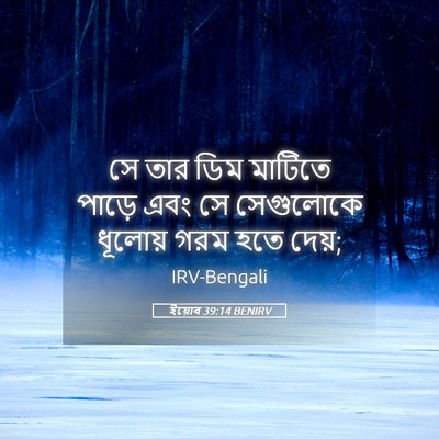 Picture 05 - ইয়োব 39:14 BENIRV - সে তার ডিম মাটিতে - Bible Verse Picture