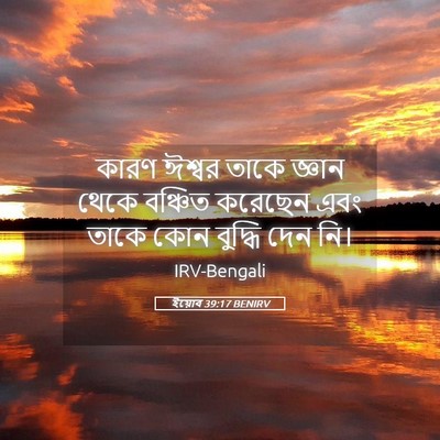 Picture 05 - ইয়োব 39:17 BENIRV - কারণ ঈশ্বর তাকে - Bible Verse Picture
