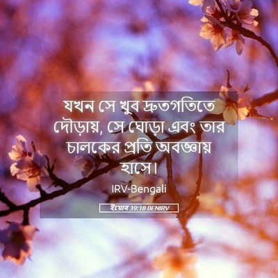 Picture 05 - ইয়োব 39:18 BENIRV - যখন সে খুব - Bible Verse Picture