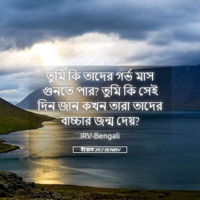Picture 05 - ইয়োব 39:2 BENIRV - তুমি কি তাদের গর্ভ - Bible Verse Picture