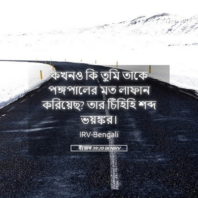 Picture 05 - ইয়োব 39:20 BENIRV - কখনও কি তুমি তাকে - Bible Verse Picture