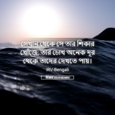 Picture 05 - ইয়োব 39:29 BENIRV - সেখান থেকে সে তার - Bible Verse Picture