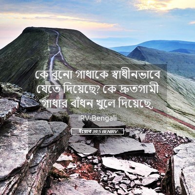 Picture 05 - ইয়োব 39:5 BENIRV - কে বুনো গাধাকে - Bible Verse Picture
