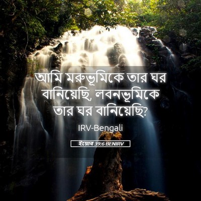 Picture 05 - ইয়োব 39:6 BENIRV - আমি মরুভূমিকে তার - Bible Verse Picture