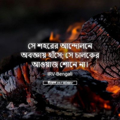 Picture 05 - ইয়োব 39:7 BENIRV - সে শহরের আন্দোলনে - Bible Verse Picture