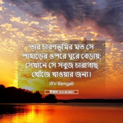 Picture 05 - ইয়োব 39:8 BENIRV - তার চারণভূমির মত - Bible Verse Picture