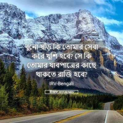 Picture 05 - ইয়োব 39:9 BENIRV - বুনো ষাঁড় কি - Bible Verse Picture