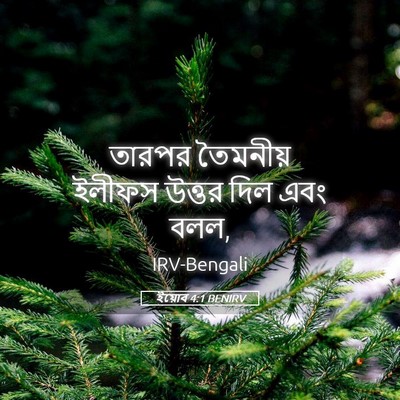 Picture 05 - ইয়োব 4:1 BENIRV - তারপর তৈমনীয় - Bible Verse Picture