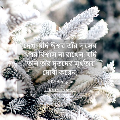 Picture 05 - ইয়োব 4:18 BENIRV - দেখ, যদি ঈশ্বর তাঁর - Bible Verse Picture