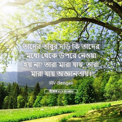 Picture 05 - ইয়োব 4:21 BENIRV - তাদের তাঁবুর দড়ি - Bible Verse Picture