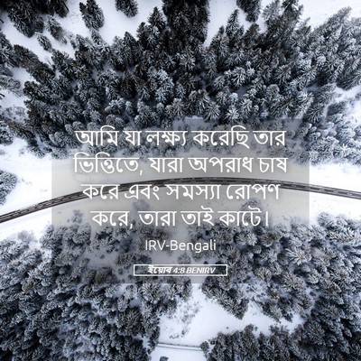 Picture 05 - ইয়োব 4:8 BENIRV - আমি যা লক্ষ্য - Bible Verse Picture
