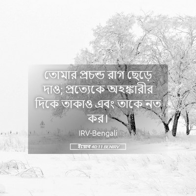 Picture 05 - ইয়োব 40:11 BENIRV - তোমার প্রচন্ড রাগ - Bible Verse Picture