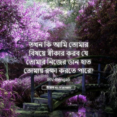 Picture 05 - ইয়োব 40:14 BENIRV - তখন কি আমি তোমার - Bible Verse Picture