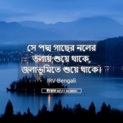 Picture 05 - ইয়োব 40:21 BENIRV - সে পদ্ম গাছের নলের - Bible Verse Picture