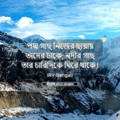 Picture 05 - ইয়োব 40:22 BENIRV - পদ্ম গাছ নিজের - Bible Verse Picture