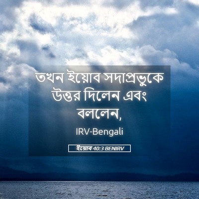 Picture 05 - ইয়োব 40:3 BENIRV - তখন ইয়োব - Bible Verse Picture