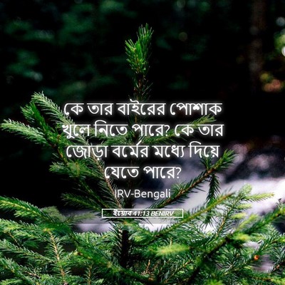 Picture 05 - ইয়োব 41:13 BENIRV - কে তার বাইরের - Bible Verse Picture