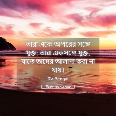 Picture 05 - ইয়োব 41:17 BENIRV - তারা একে অপরের - Bible Verse Picture