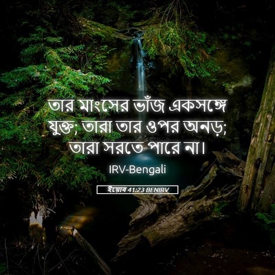 Picture 05 - ইয়োব 41:23 BENIRV - তার মাংসের ভাঁজ - Bible Verse Picture