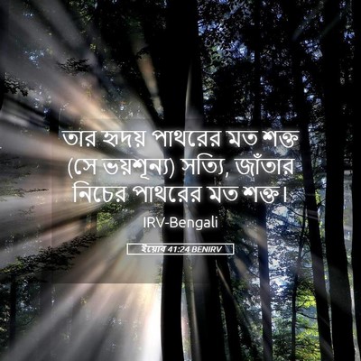Picture 05 - ইয়োব 41:24 BENIRV - তার হৃদয় পাথরের - Bible Verse Picture