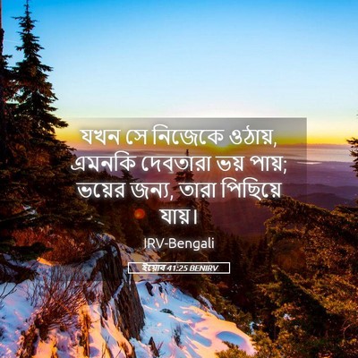 Picture 05 - ইয়োব 41:25 BENIRV - যখন সে নিজেকে - Bible Verse Picture